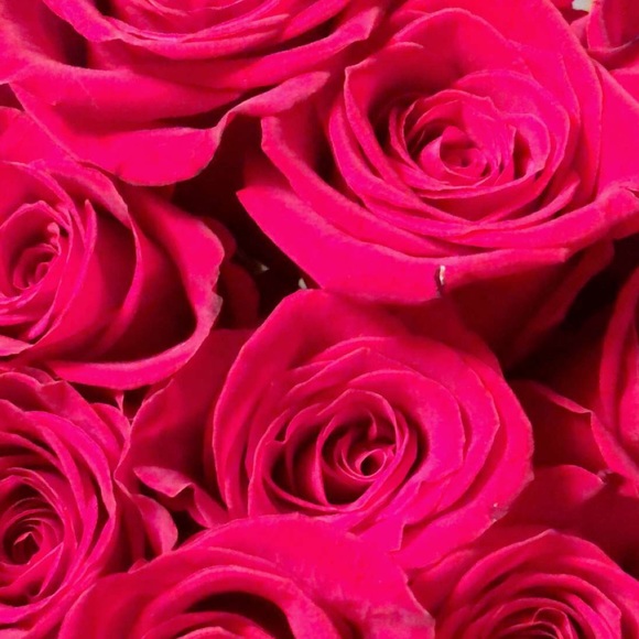 Meet your Posher, Jannet - Picture 1 of 1